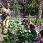 farm field tours