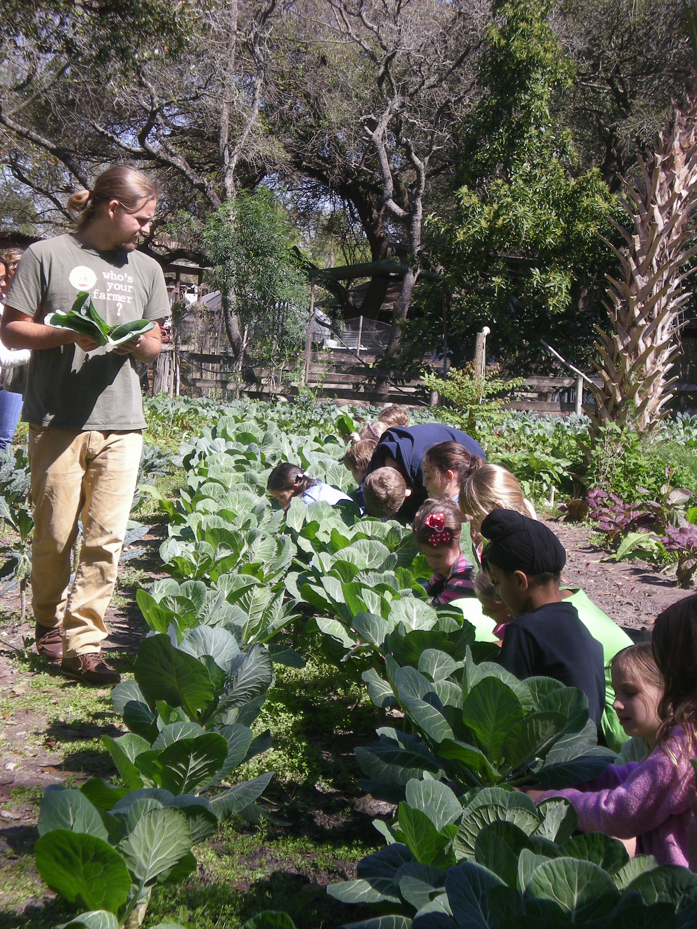 agricultural field trip