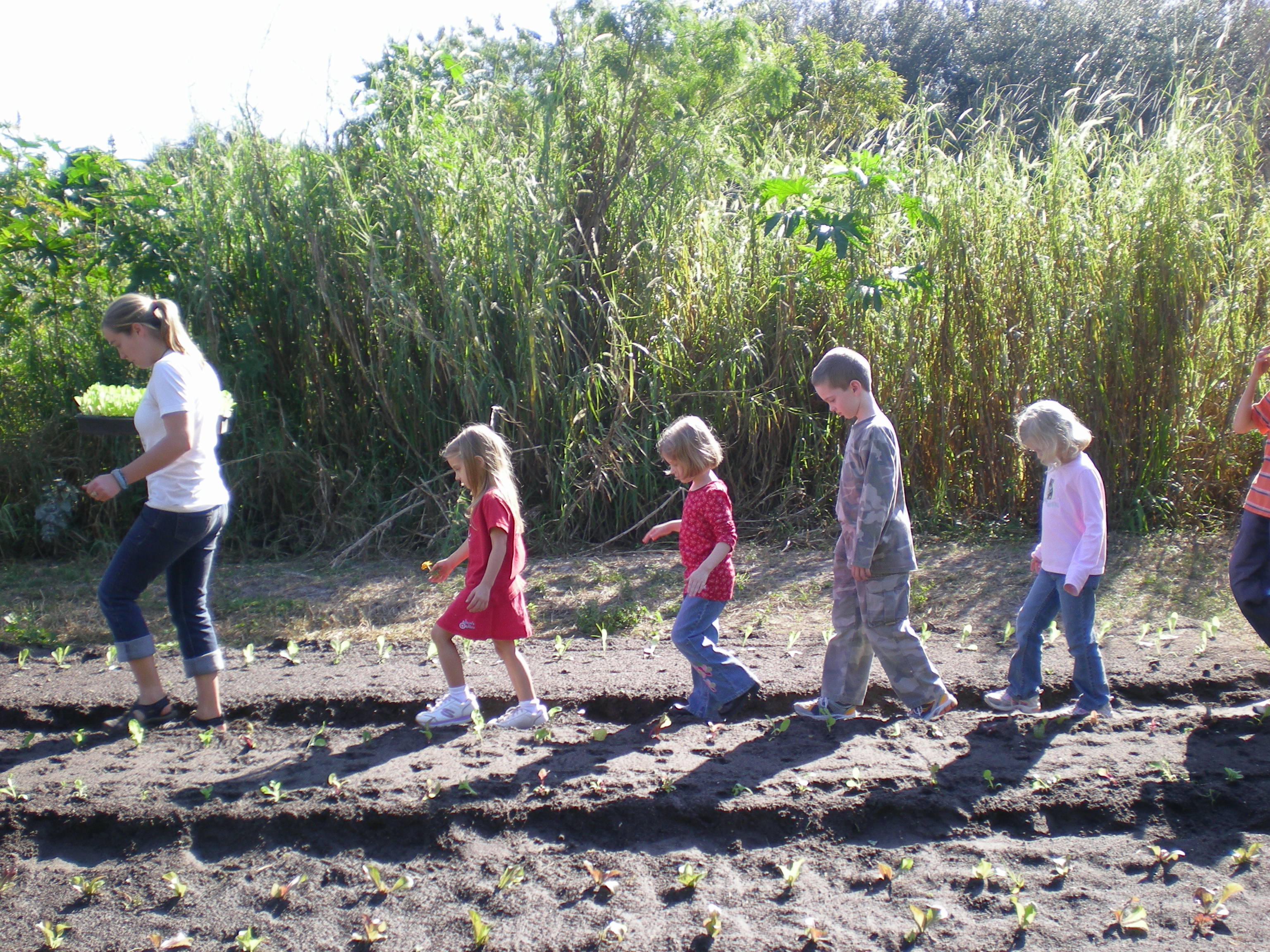 farm field trips bay area