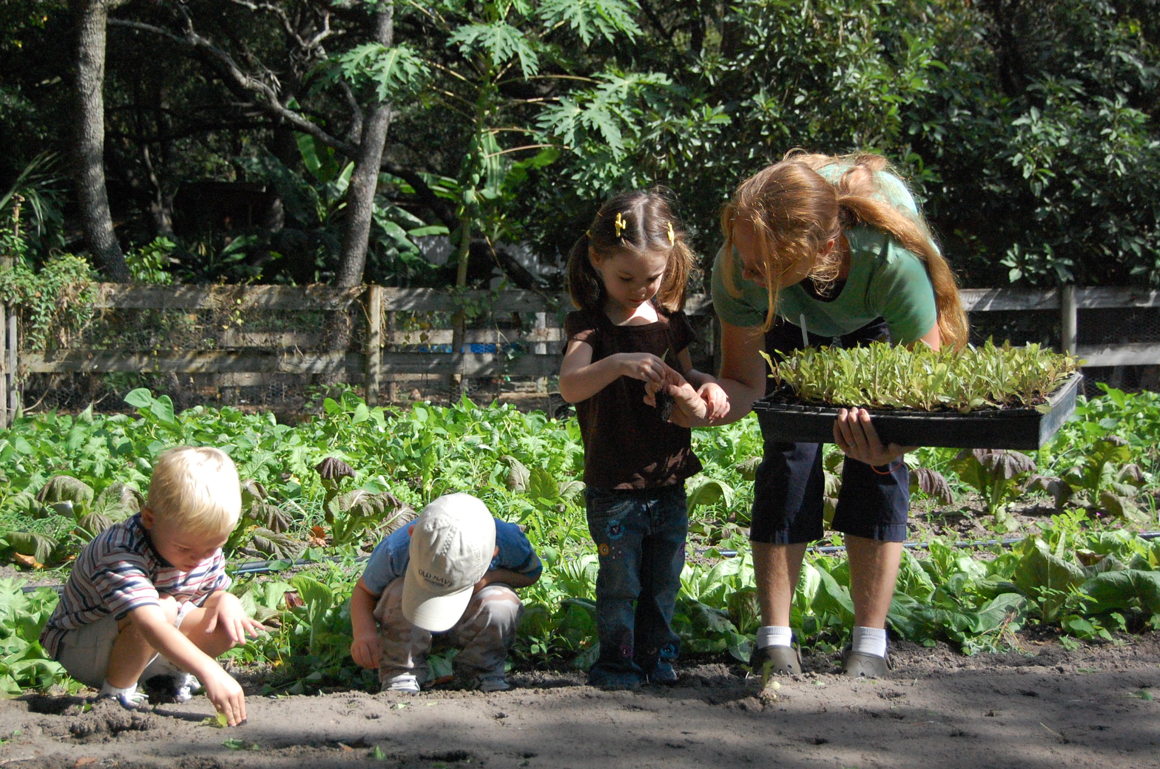 agricultural field trip