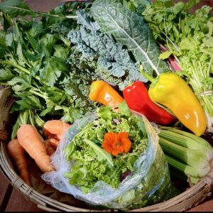 Harvest Share Membership (CSA) 26-27