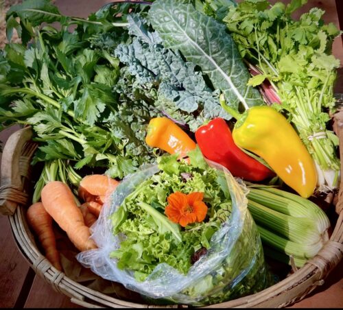 Harvest Share Membership (CSA) 26-27